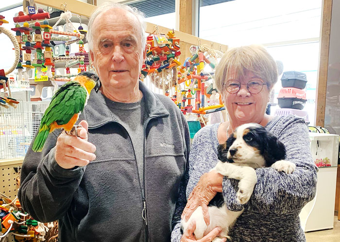 Roufi-Services-ServiceClient